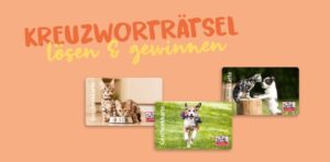 Fressnapf Raetsel Gewinnspiel